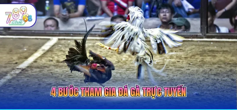 Đá Gà Trực Tiếp Hôm Nay Với Chất Lượng 4k, Mượt Mà
