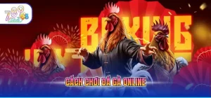 Đá Gà 789CLUB - Đấu Trường Quốc Tế Với Tỷ Lệ Ăn Cực Cao