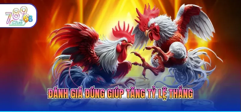 Cách Chơi Đá Gà Online Giúp Người Mới Dễ Dàng Làm Quen