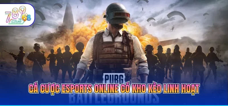 Cá Cược Esports Online – Giải Trí Hấp Dẫn, Sinh Lời Khủng
