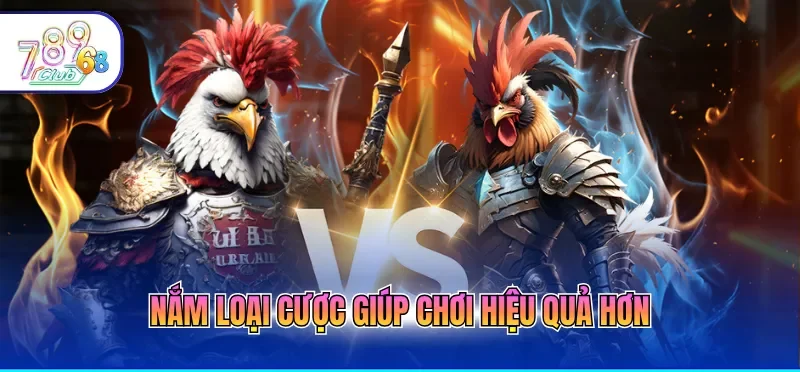 Cách Chơi Đá Gà Online Giúp Người Mới Dễ Dàng Làm Quen