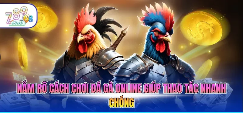 Cách Chơi Đá Gà Online Giúp Người Mới Dễ Dàng Làm Quen