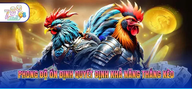 Kèo Đá Gà Hôm Nay Cập Nhật Bảng Kèo Chuẩn Xác Từng Phút Kèo Đá Gà Hôm Nay Cập Nhật Bảng Kèo Chuẩn Xác Từng Phút