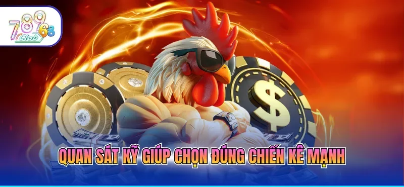 Cách Chơi Đá Gà Online Giúp Người Mới Dễ Dàng Làm Quen