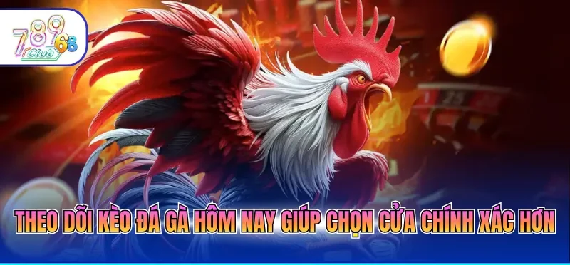 Kèo Đá Gà Hôm Nay Cập Nhật Bảng Kèo Chuẩn Xác Từng Phút Kèo Đá Gà Hôm Nay Cập Nhật Bảng Kèo Chuẩn Xác Từng Phút