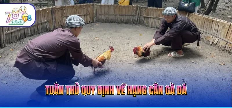 Đá Gà Trực Tiếp Hôm Nay Với Chất Lượng 4k, Mượt Mà